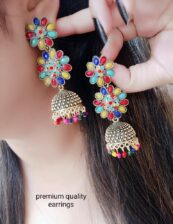 Multi color Beautiful  Earrings