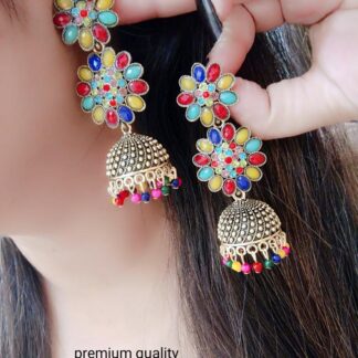 Multi color Beautiful  Earrings