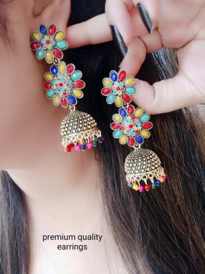 Multi color Beautiful  Earrings