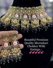 Beautiful Minakari Choker Premium Quality  With Earrings…